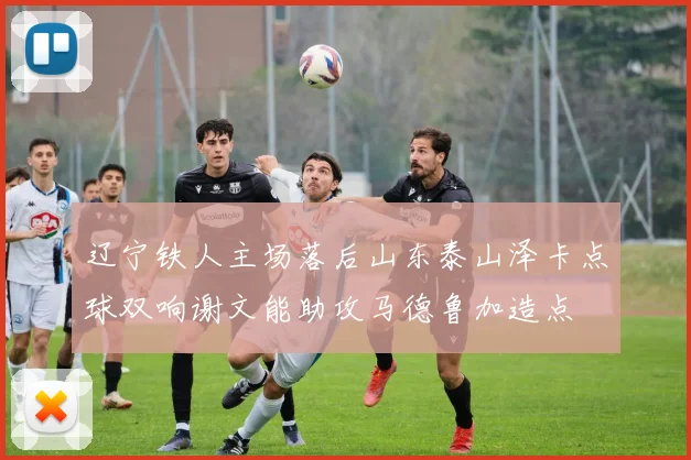 辽宁铁人主场落后山东泰山泽卡点球双响谢文能助攻马德鲁加造点